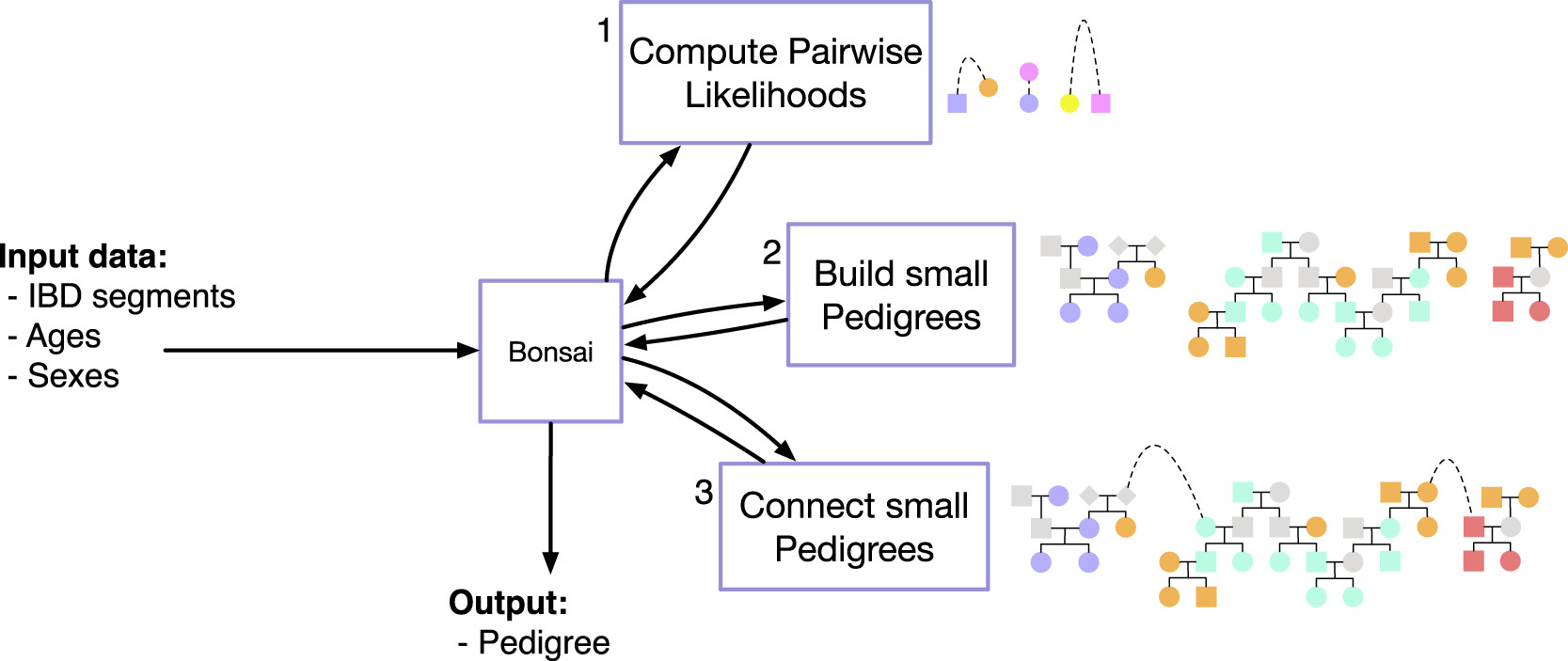 Pedicree Inference