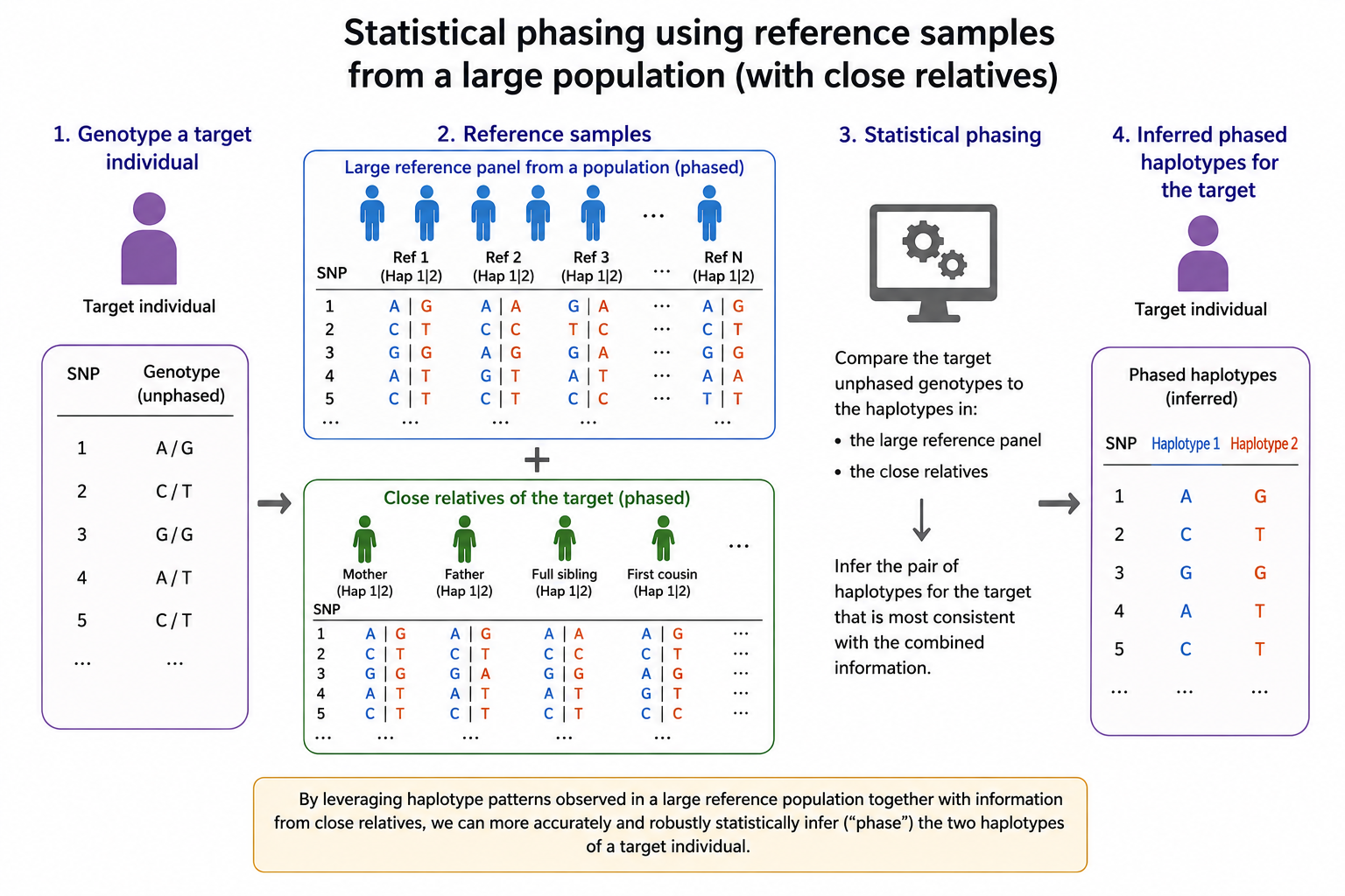 Genome Phasing