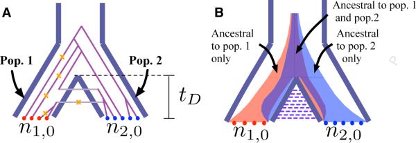 Coalescent Approximations